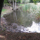 06a. March 2017. Eutrophication . Cambridge Tree Trust